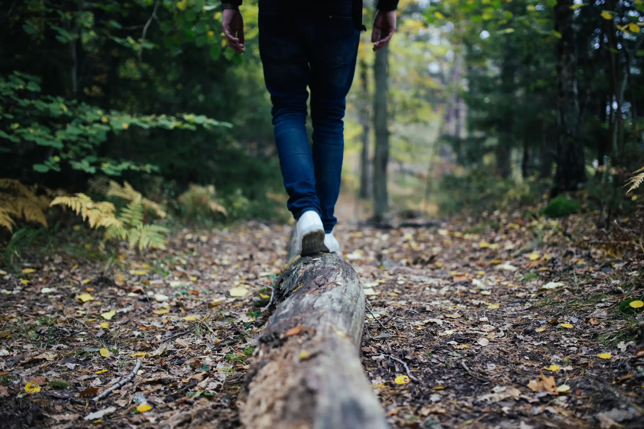 Person balancing while walking along a fallen log in the woods
