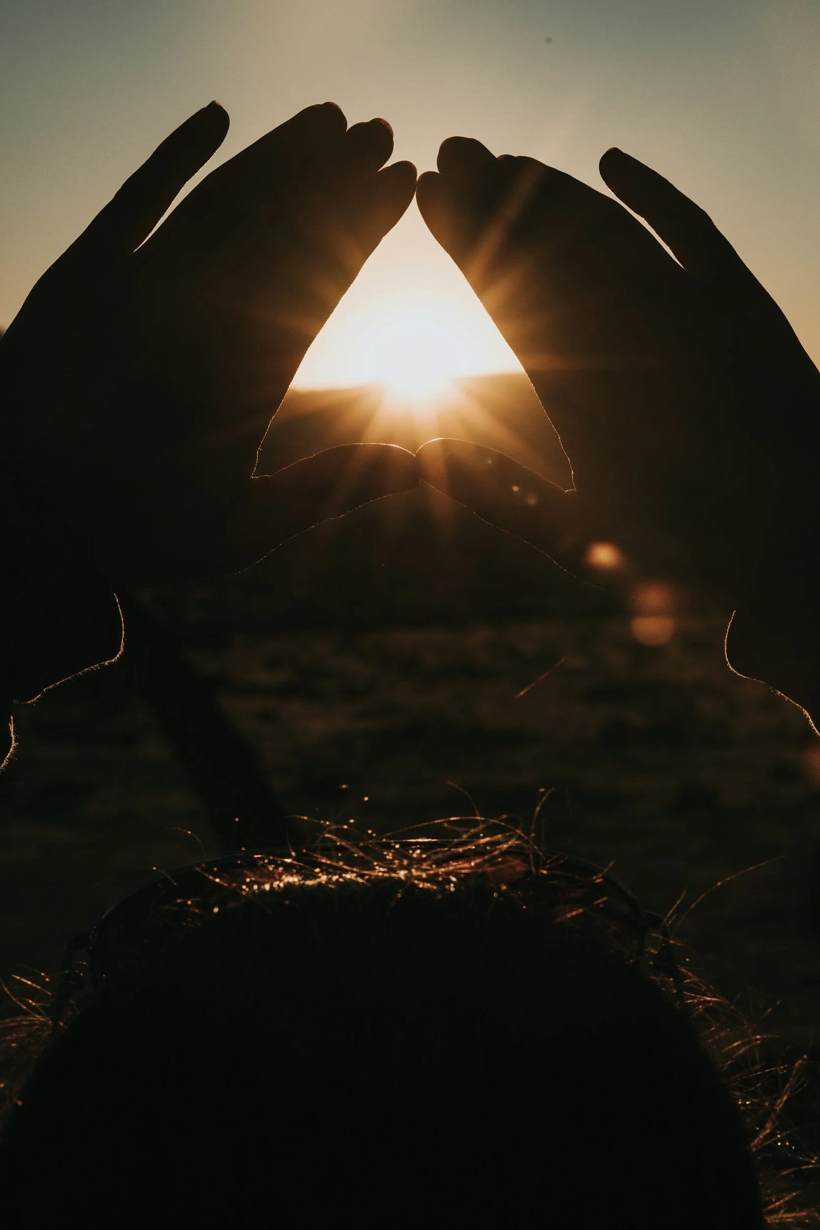 Hands cupped around the setting sun, framing an open book in silhouette