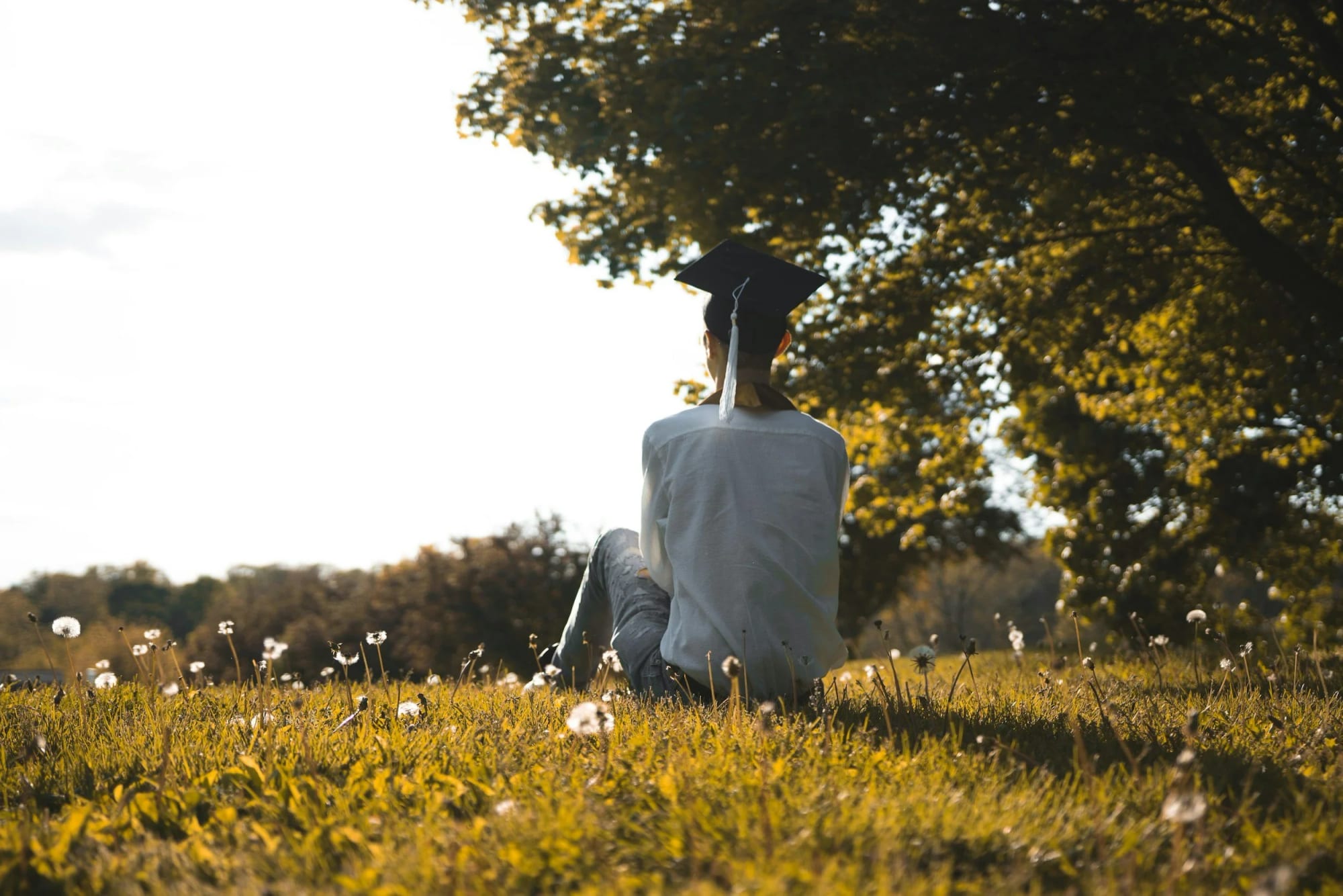 A recent graduate in a cap sitting alone in a sunlit field